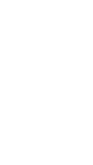 illustration_04_04 https://zynk.ae/wp-content/uploads/2023/10/illustration_04_04.png